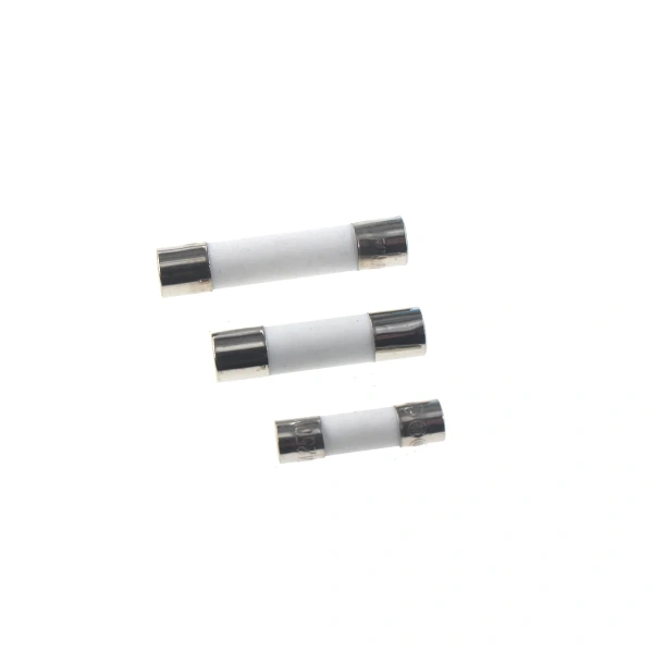 Fast-Blow Ceramic Fuses 5*20 6*30 6*25mm