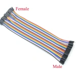 40-Pin Dupont Jumper Wires