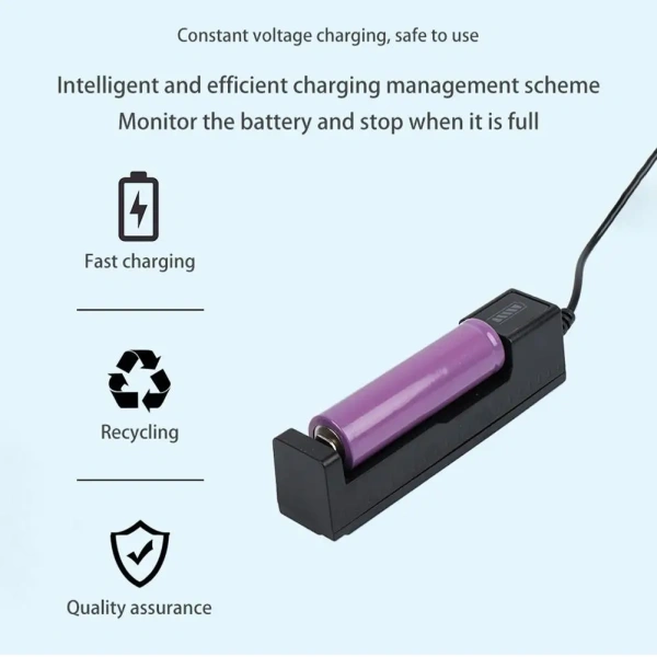 Universal Smart Battery Charger