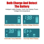 Smart Pulse Repair Battery Charger 6V 12V