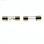 AGU fuse 10*38mm