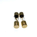 AGU fuse 10*38mm